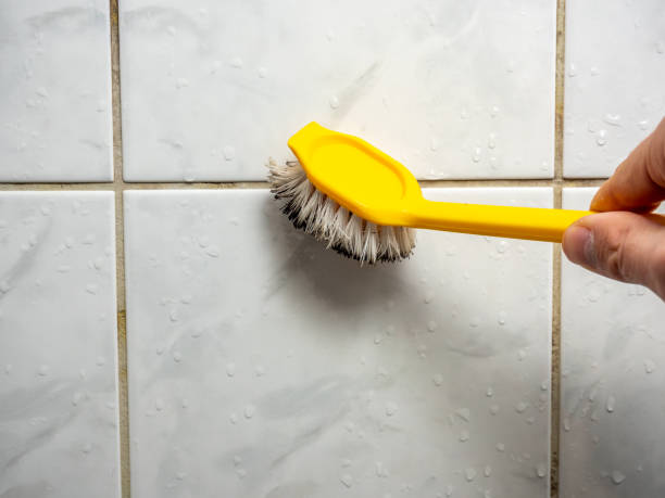 Best Mold Damage Repair  in Moraga, CA