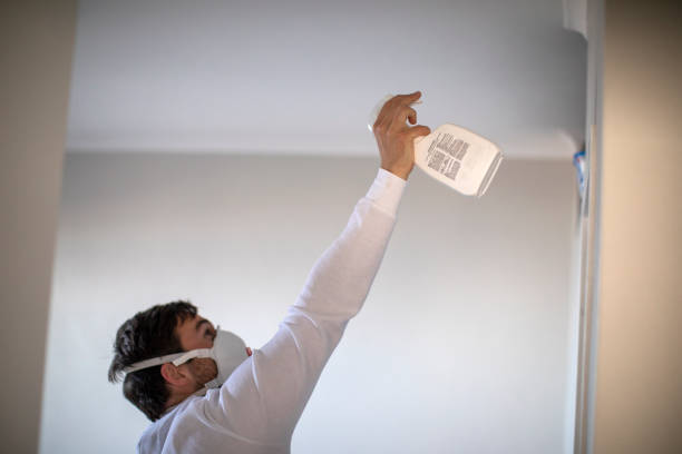 Best Fast Mold Removal  in Moraga, CA