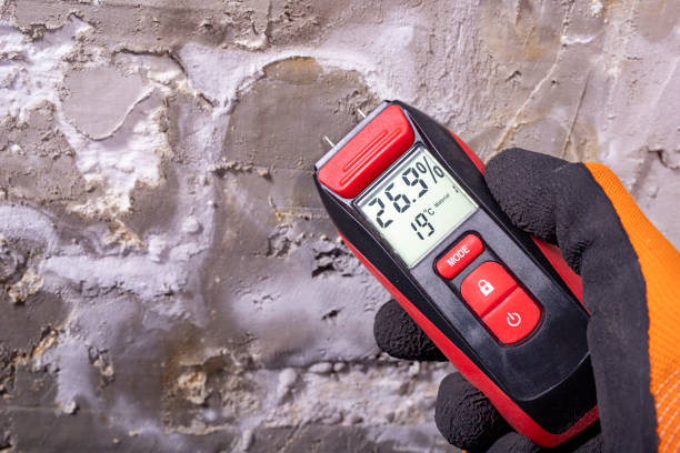 Best Local Mold Removal Service  in Moraga, CA