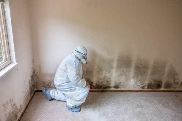 Best Mold Testing  in Moraga, CA
